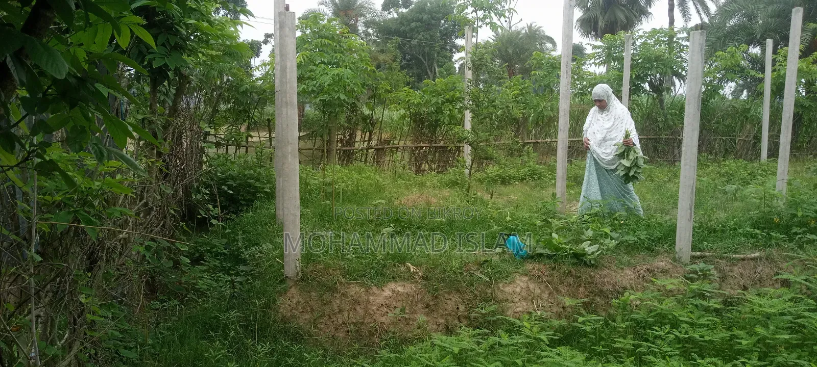 জোমিটি বিক্রি করে দেওয়া হবে