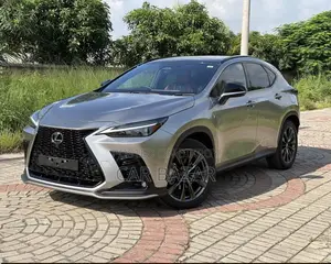 নতুন Lexus NX 2023 গ্রে