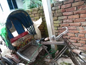 রিকশা ২০২৬
