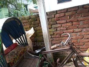 রিকশা ২০২৬