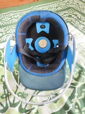 Professional Cricket Helmet