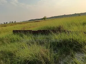 Block-M, East Facing 5 Katha Plot Sale