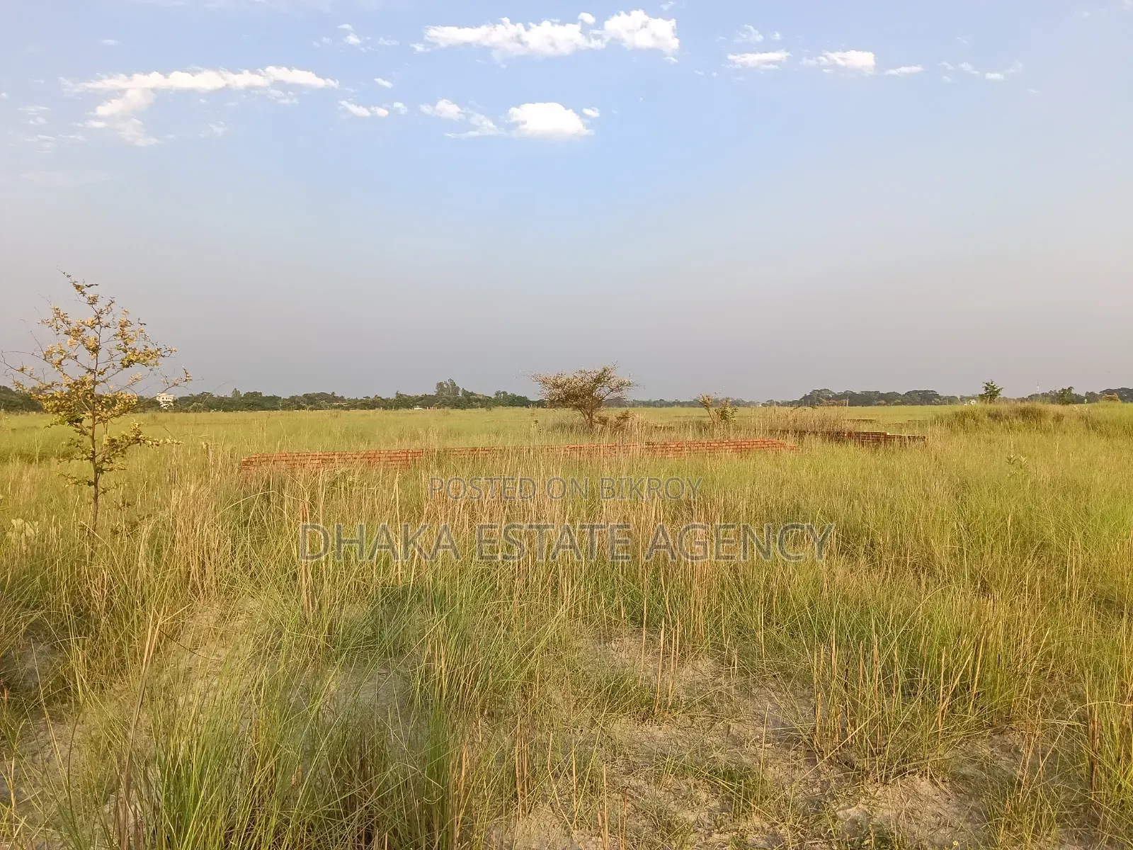 P-Ext, Block, 5 Katha South Facing Plot Sale