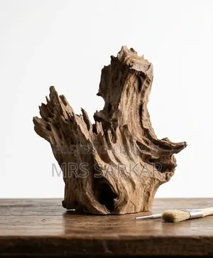 Premium Natural Driftwood For Aquarium, Bonsai Home Decor