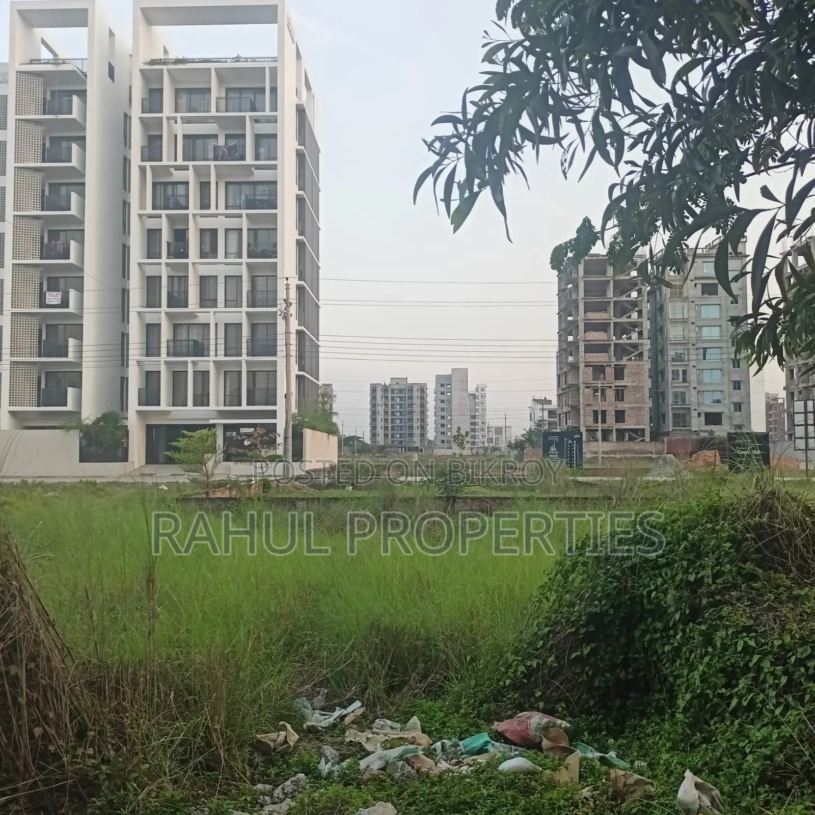 G Block 3 Katha Land for Sale