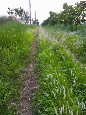 3 Katha Ready Plot for Sale at Sunvalley Project by Swadesh Properties