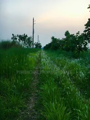 3 Katha Ready Plot for Sale at Sunvalley Project by Swadesh Properties