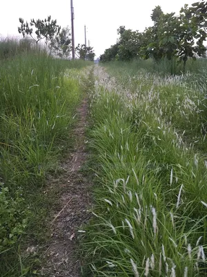 3 Katha Ready Plot for Sale at Sunvalley Project by Swadesh Properties