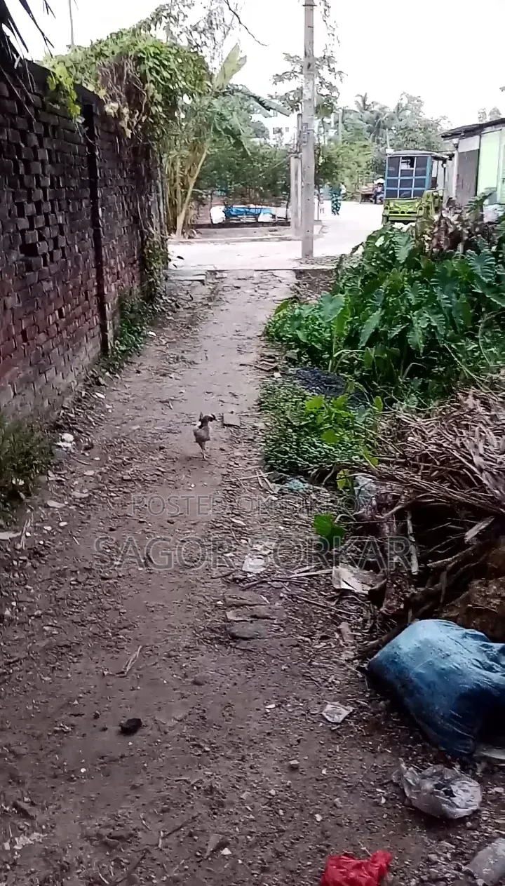 Furnished 4bdrm House in Gazipur Sadar for Sale