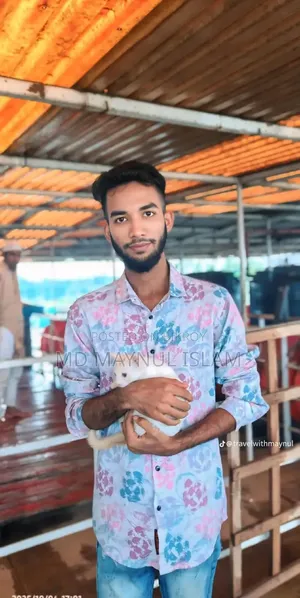 মাইনুল ইসলাম
