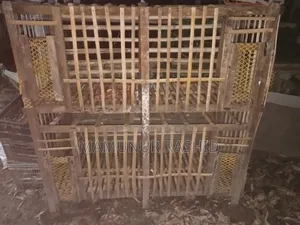 Chicken Coop
