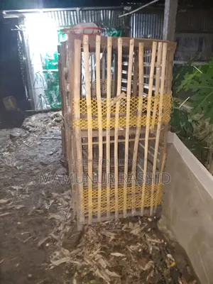 Chicken Coop