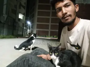 জরুরী একজন দারোয়ান দরকার।
