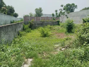 3 Katha, Land for Rent