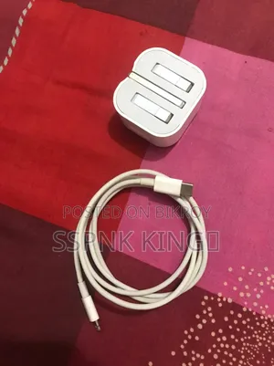 Apple Original Charger