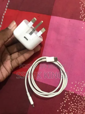 Apple Original Charger