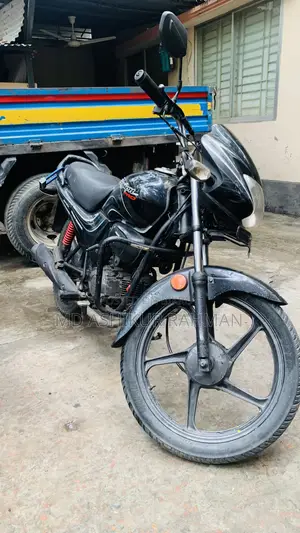 হিরো প্যাশন প্রো ২০১০ কালো