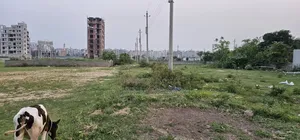 Emergency Plot for Sale