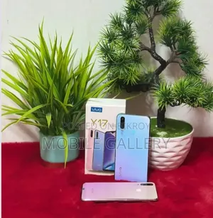 Vivo Y17 256 GB