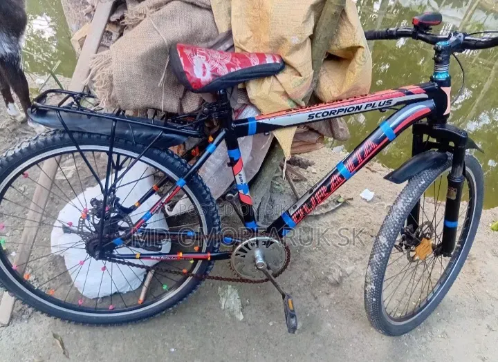 দুরন্ত সাইকেল