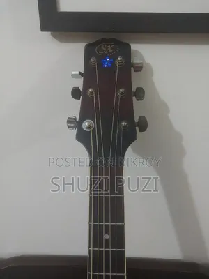 Acoustic Guitar Custom Sx Brand