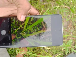 Xiaomi Redmi Note 14 Pro 5G 256 GB White