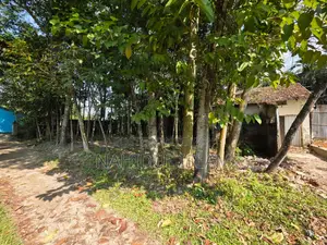 Dream Land, Your Own Property!!