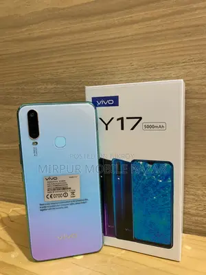 ভিভো ওয়াই১৭ ৬৪ জিবি