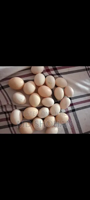 দেশি ও ফাউমি মুরগির ডিম