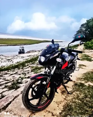 বাজাজ পালসার ১৫০ ২০১৯ ব্ল্যাক