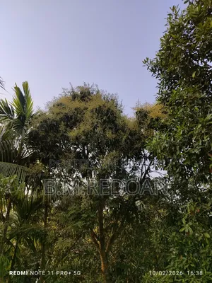 বরিশাল শহরে ডিআইজি অফিস সংলগ্ন লাদেন সড়কে রেডি প্লট বিক্রয়
