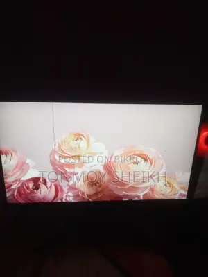 22" Hikvision Monitor (2mark)
