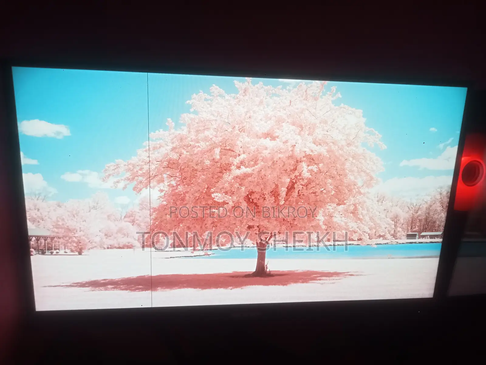 22" Hikvision Monitor (2mark)