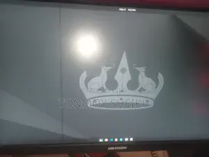 22" Hikvision Monitor (2mark)