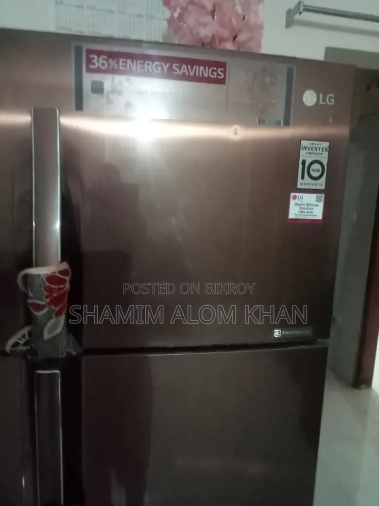 LG 307 Liter Non-Frost Fridge