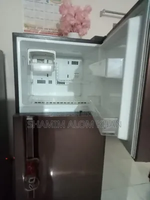 LG 307 Liter Non-Frost Fridge