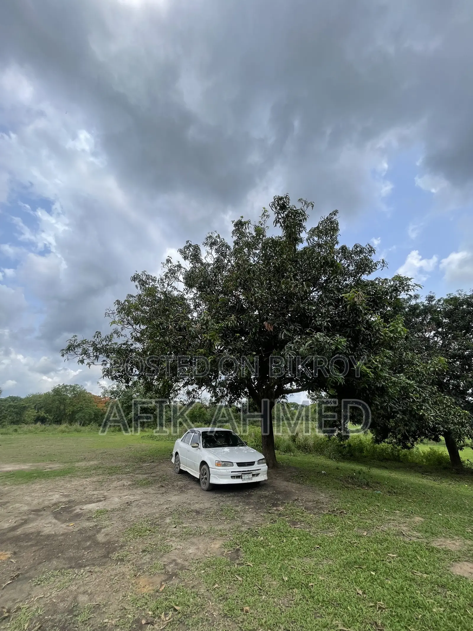 টয়োটা করোলা ১৯৯৬ সাদা