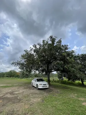 Toyota Corolla 1996 White