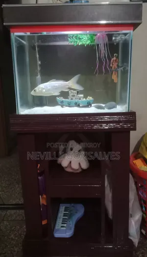 Aquarium Tank