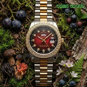 Luxury Rolex Day-Date Two-Tone Gold Silver – Black Diamond Dial F