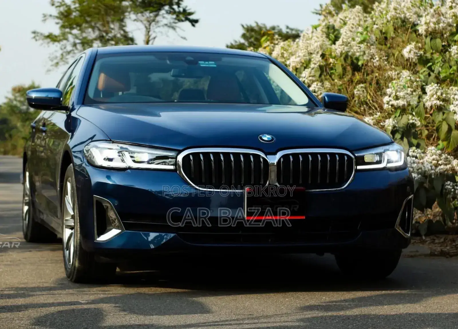 BMW 530 2020 Blue