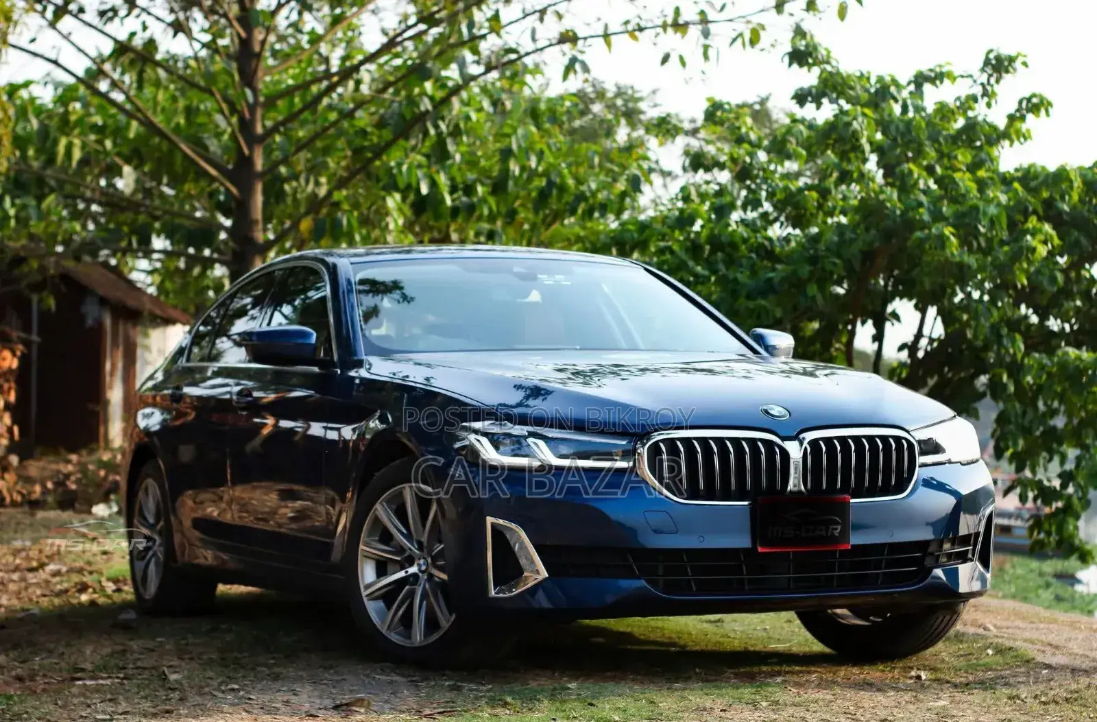 BMW 530 2020 Blue