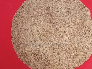 Bird Food (Basmati Paddy)
