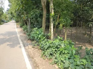 ৩ বেডরুমের বাড়ি আল আমিন, নরসিংদী সদর বিক্রয়ের জন্য