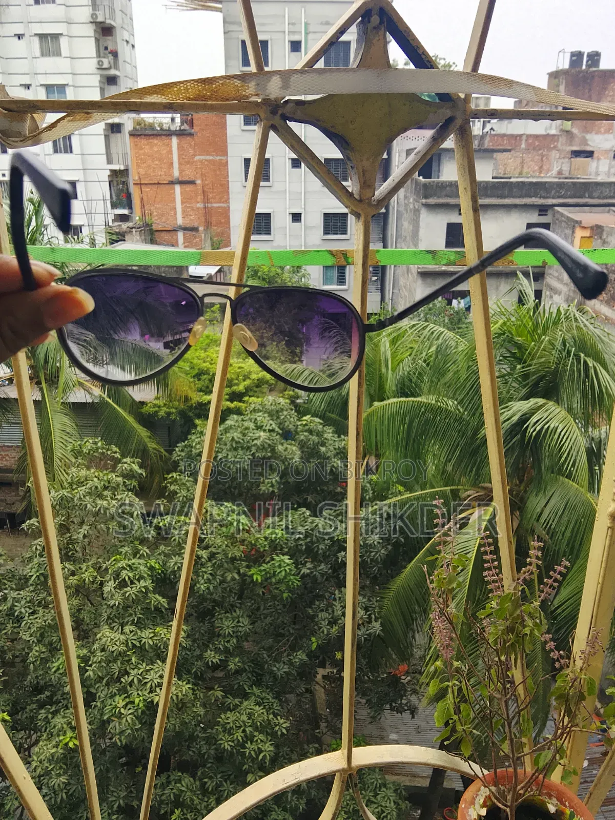 Premium Sunglass