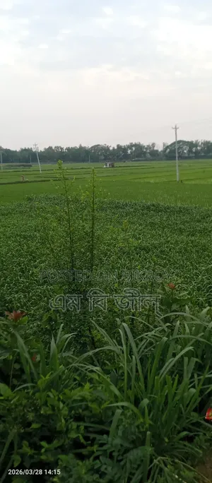 জমি বিক্রয়
