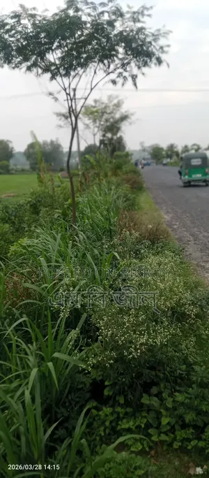 জমি বিক্রয়