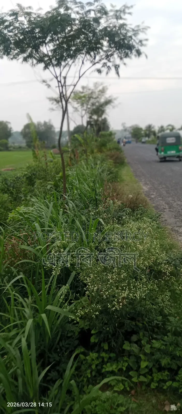 জমি বিক্রয়