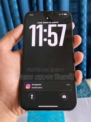 Apple iPhone 12 Pro Max 256 GB Blue