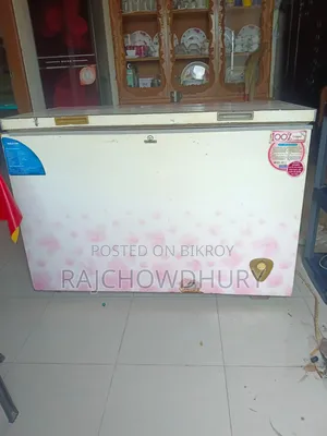৩০০ লিটল ওয়ালটন ডিপ ফ্রিজ